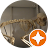 user-image