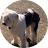 user-image