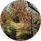 user-image