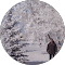 user-image
